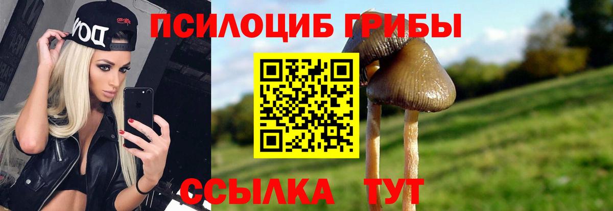Галлюциногенные грибы мицелий Крымск